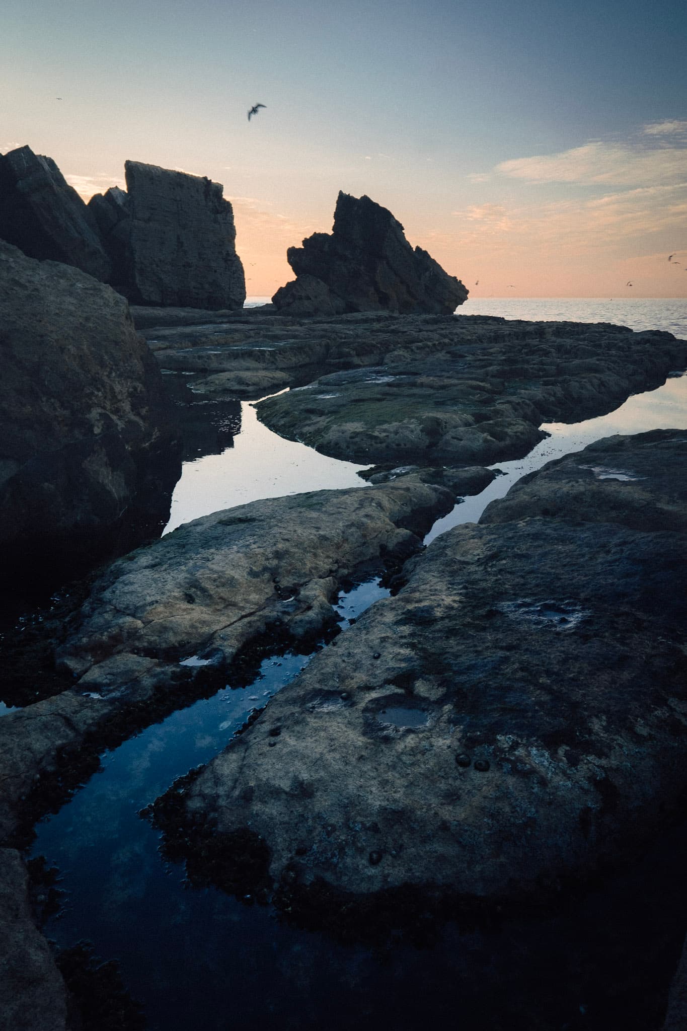 Photography by David Karlsson