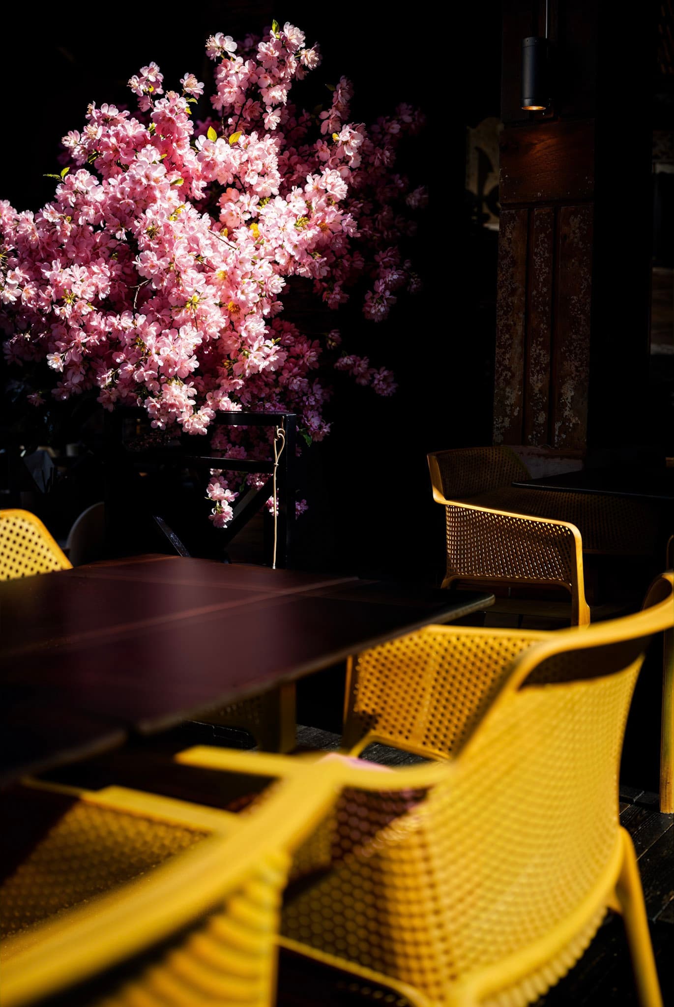 Photography by David Karlsson