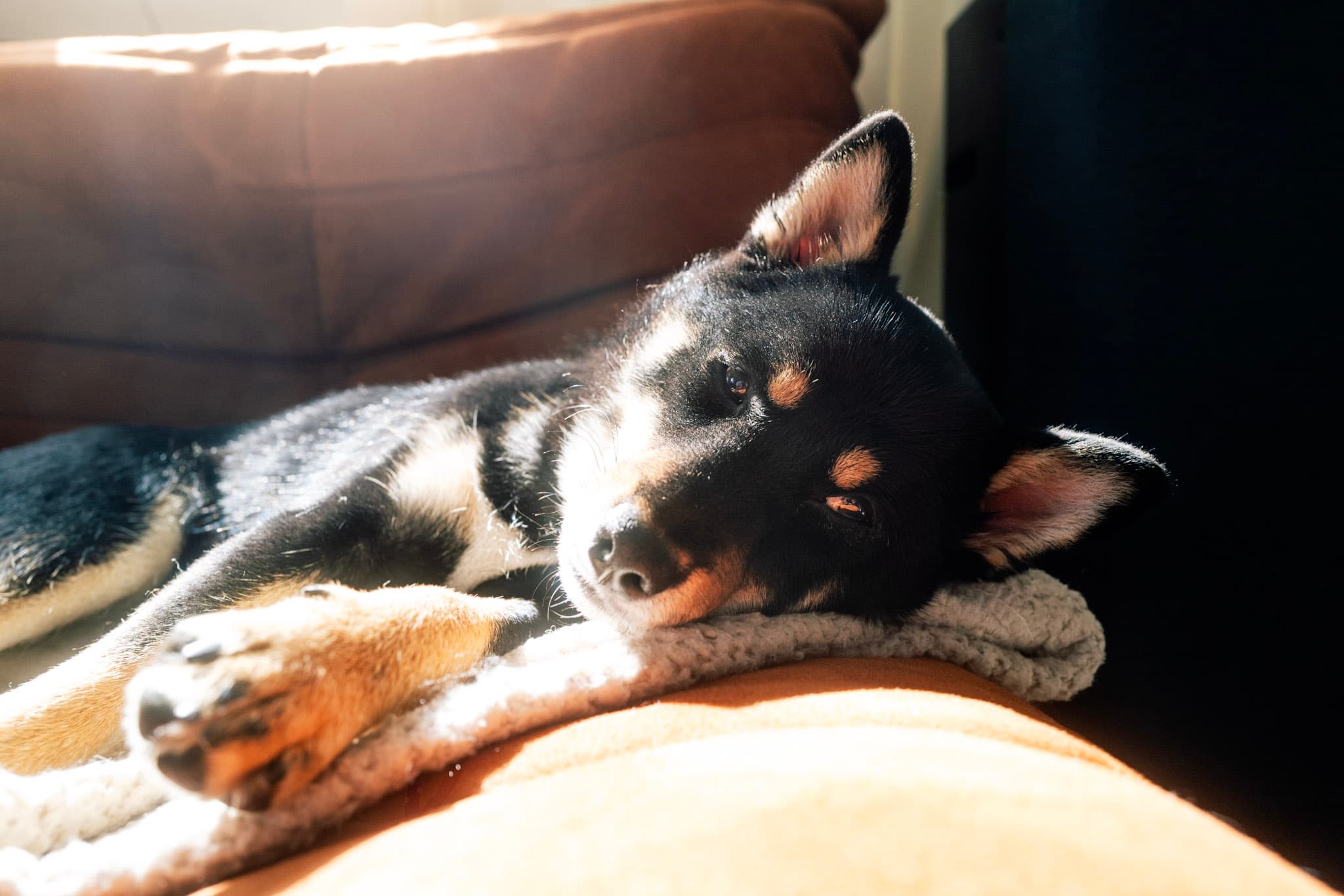 Photography by David Karlsson