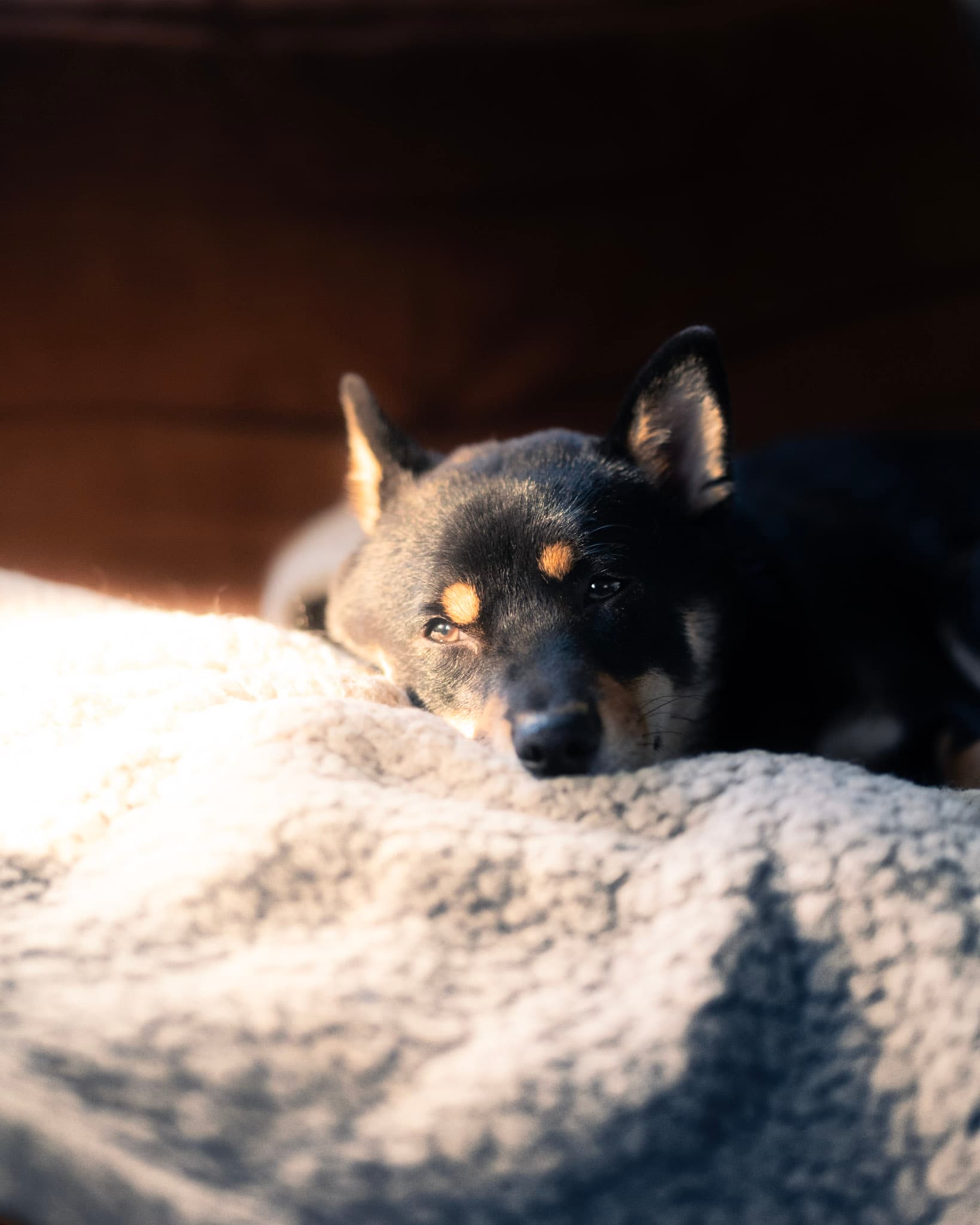 Photography by David Karlsson